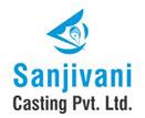 Sanjivani Casting